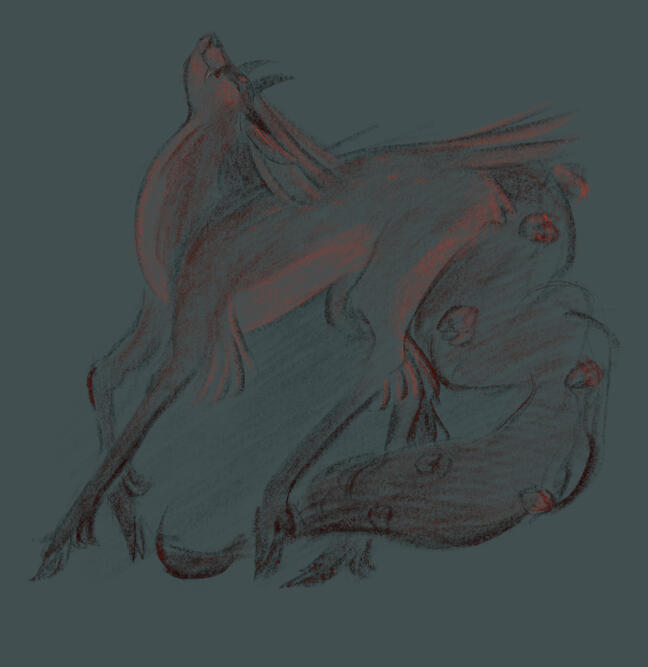 Sketch