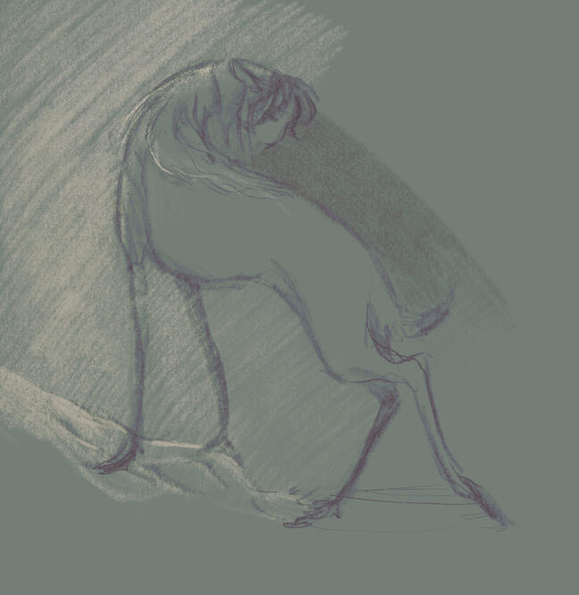 Sketch