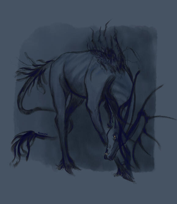 Sketch