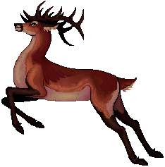Starling @ Pixeldeer Starling @ Pixeldeer